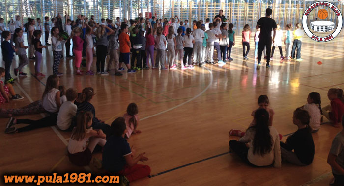 kola koarke prezentacija