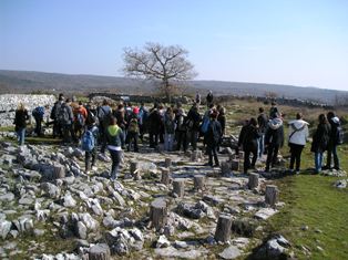 Monkodonja